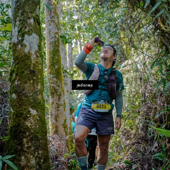 Runner Photo 5242927