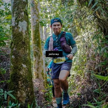 Runner Photo 5242930