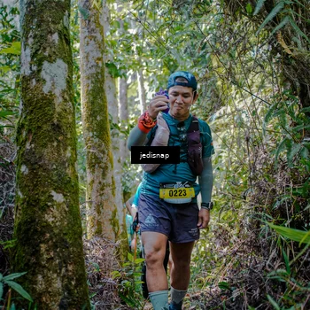 Runner Photo 5242935