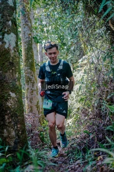 Runner Photo 5243157