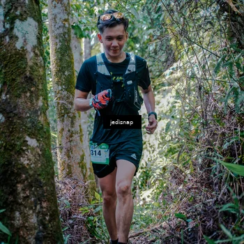 Runner Photo 5243159