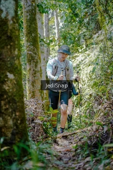 Runner Photo 5243228