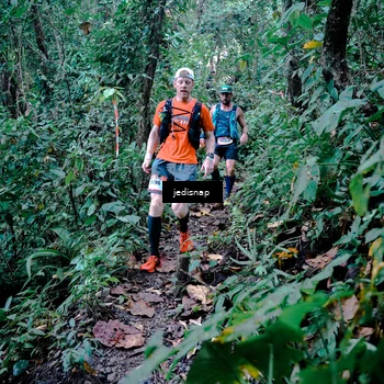 Runner Photo 5243376
