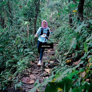 Runner Photo 5243420