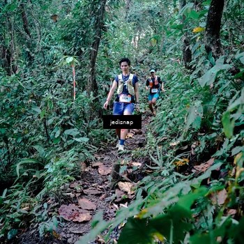 Runner Photo 5243427
