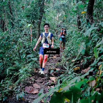 Runner Photo 5243429