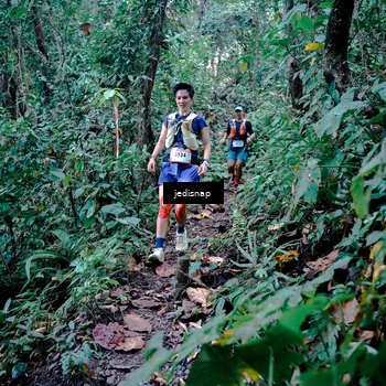 Runner Photo 5243430