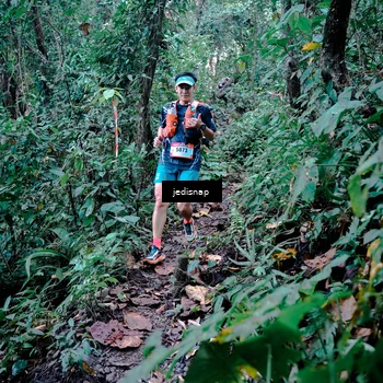 Runner Photo 5243436