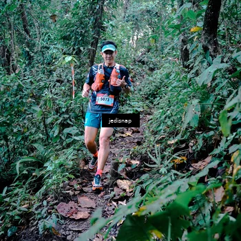 Runner Photo 5243439