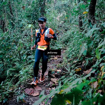 Runner Photo 5243443
