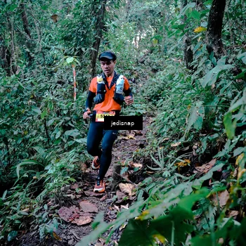 Runner Photo 5243445