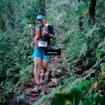 Runner Photo 5243449