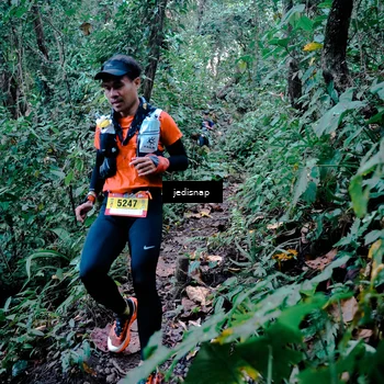 Runner Photo 5243451