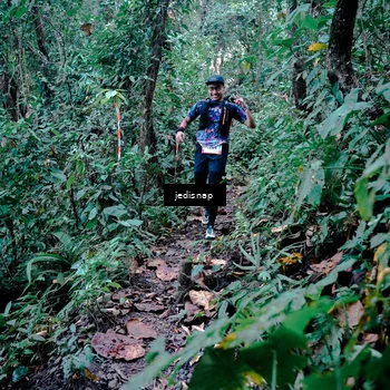 Runner Photo 5243456