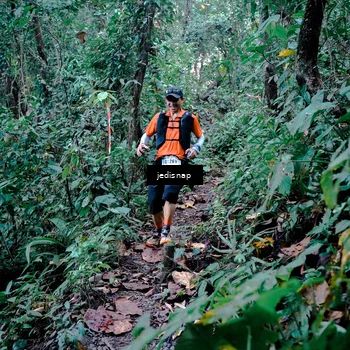 Runner Photo 5243462