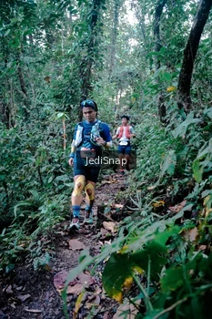 Runner Photo 5243476