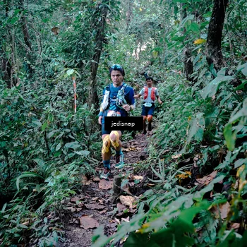 Runner Photo 5243479