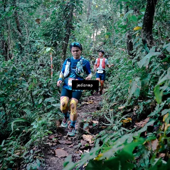 Runner Photo 5243482
