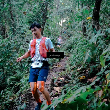Runner Photo 5243489