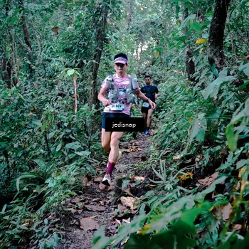 Runner Photo 5243496