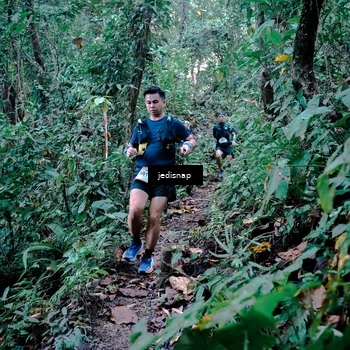 Runner Photo 5243502