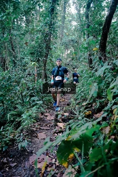 Runner Photo 5243506