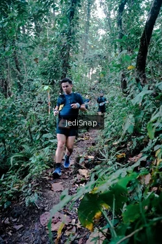 Runner Photo 5243508