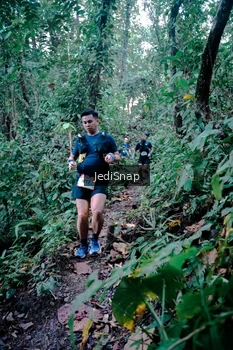 Runner Photo 5243509