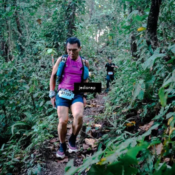 Runner Photo 5243526