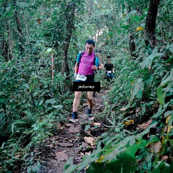 Runner Photo 5243532