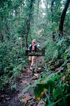 Runner Photo 5243541