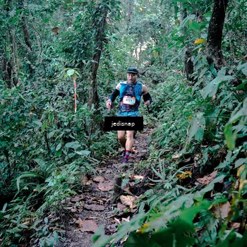 Runner Photo 5243558