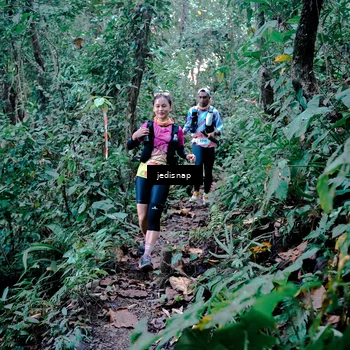 Runner Photo 5243562