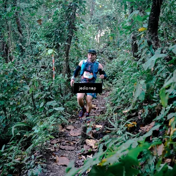 Runner Photo 5243563