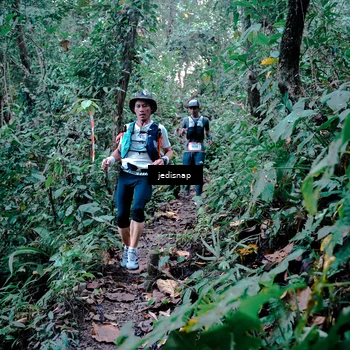 Runner Photo 5243578