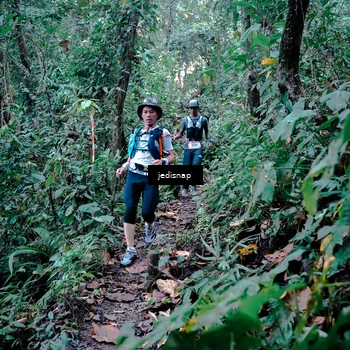Runner Photo 5243581