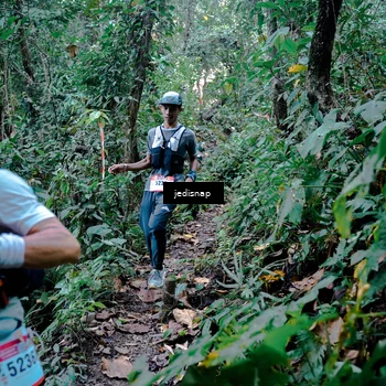 Runner Photo 5243582