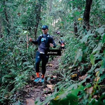 Runner Photo 5243612
