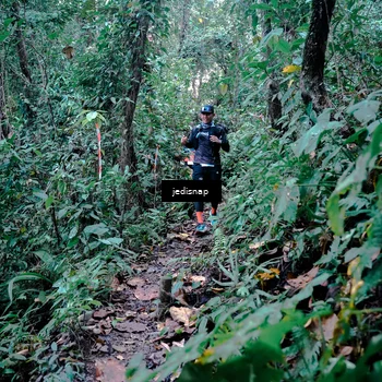Runner Photo 5243613