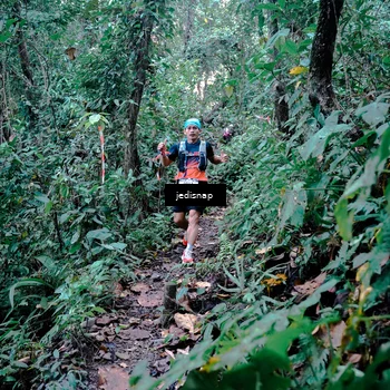Runner Photo 5243620