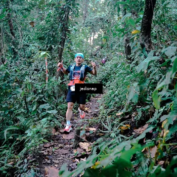 Runner Photo 5243623