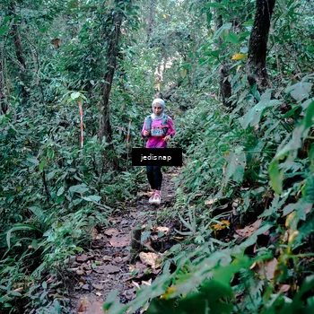 Runner Photo 5243643