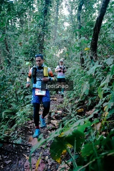 Runner Photo 5243650