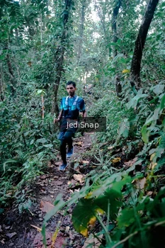 Runner Photo 5243663