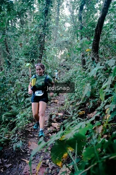 Runner Photo 5243676