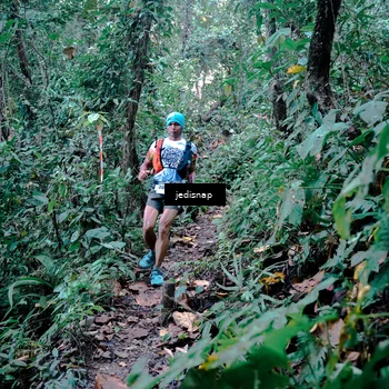 Runner Photo 5243677