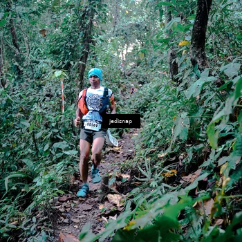 Runner Photo 5243682