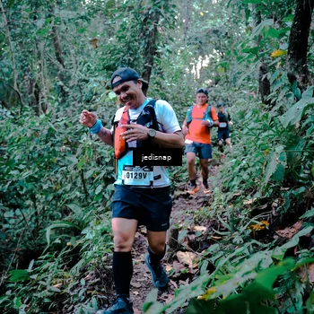 Runner Photo 5243704
