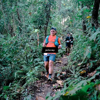 Runner Photo 5243705