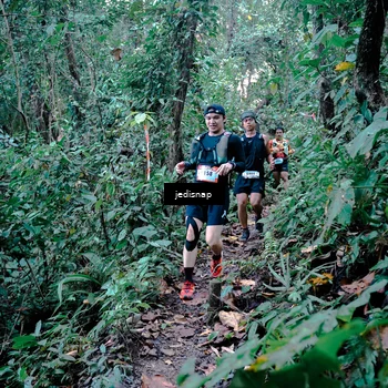 Runner Photo 5243708